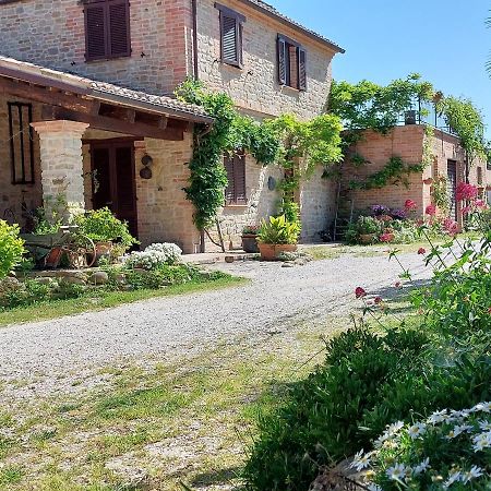 Casale San Martino Agriturismo Bio Sant'Angelo in Pontano Exteriér fotografie