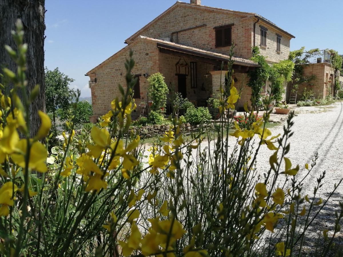 Casale San Martino Agriturismo Bio Sant'Angelo in Pontano Exteriér fotografie