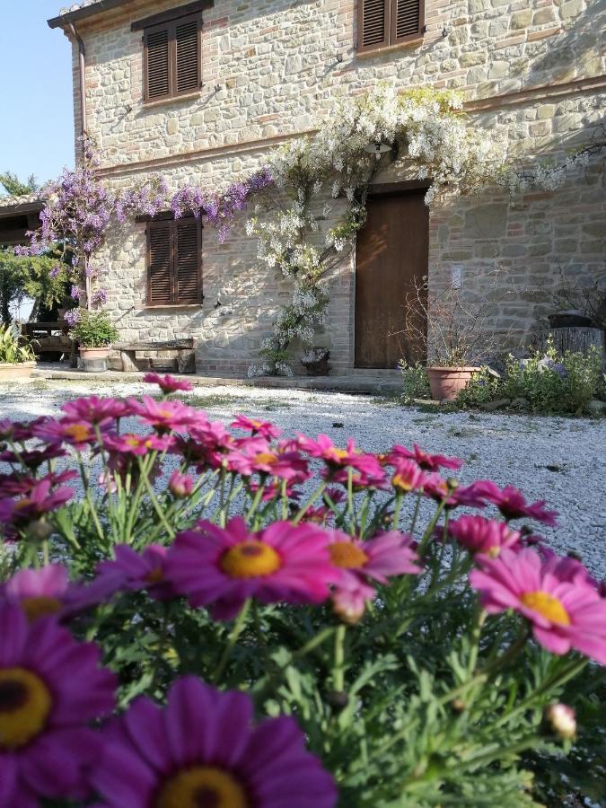 Casale San Martino Agriturismo Bio Sant'Angelo in Pontano Exteriér fotografie