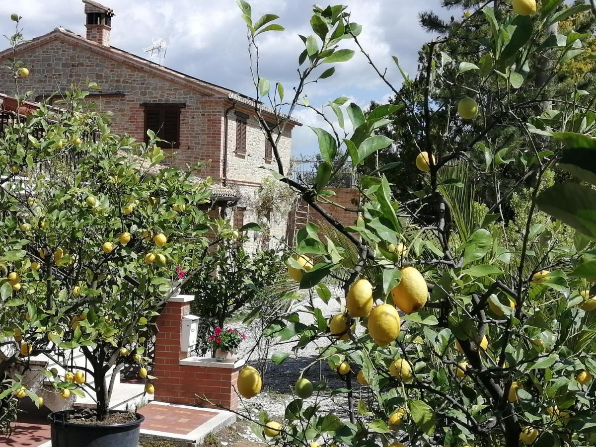 Casale San Martino Agriturismo Bio Sant'Angelo in Pontano Exteriér fotografie