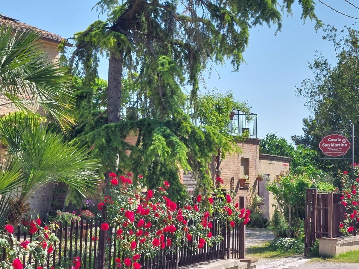 Casale San Martino Agriturismo Bio Sant'Angelo in Pontano Exteriér fotografie