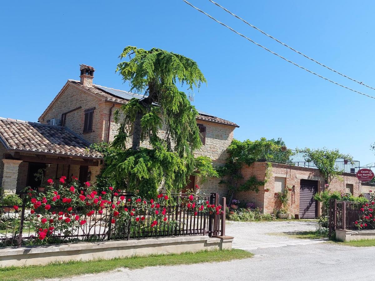 Casale San Martino Agriturismo Bio Sant'Angelo in Pontano Exteriér fotografie