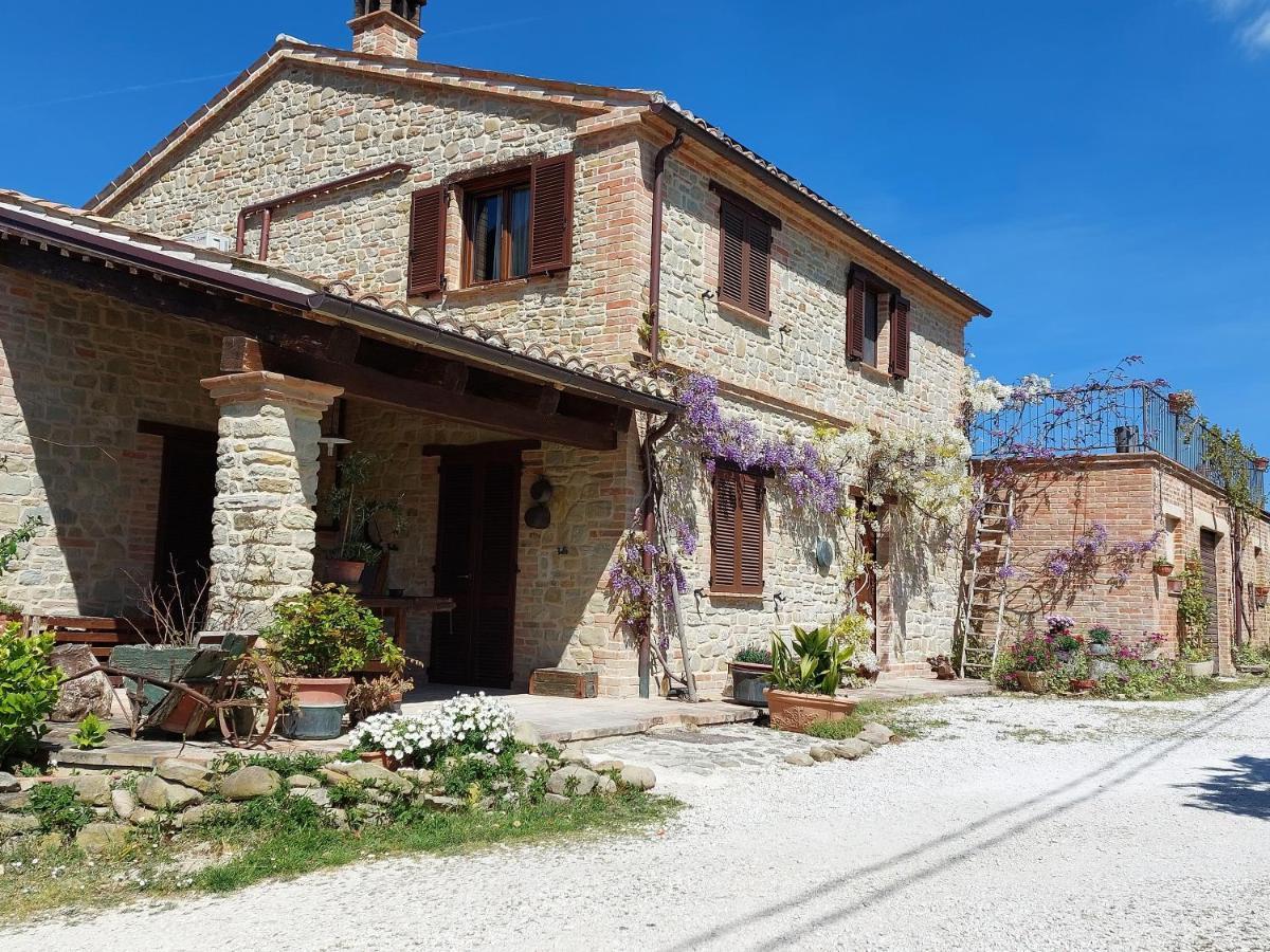 Casale San Martino Agriturismo Bio Sant'Angelo in Pontano Exteriér fotografie