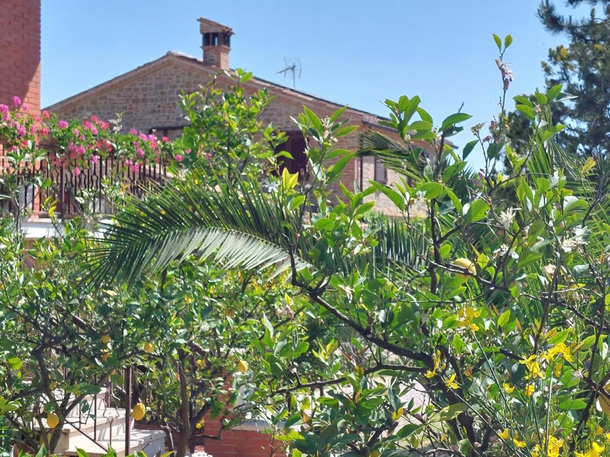 Casale San Martino Agriturismo Bio Sant'Angelo in Pontano Exteriér fotografie