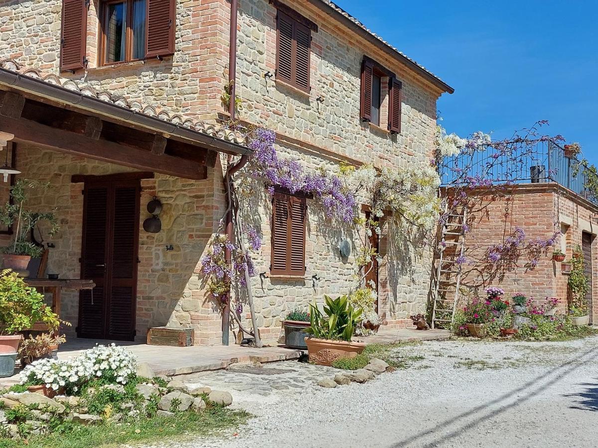 Casale San Martino Agriturismo Bio Sant'Angelo in Pontano Exteriér fotografie