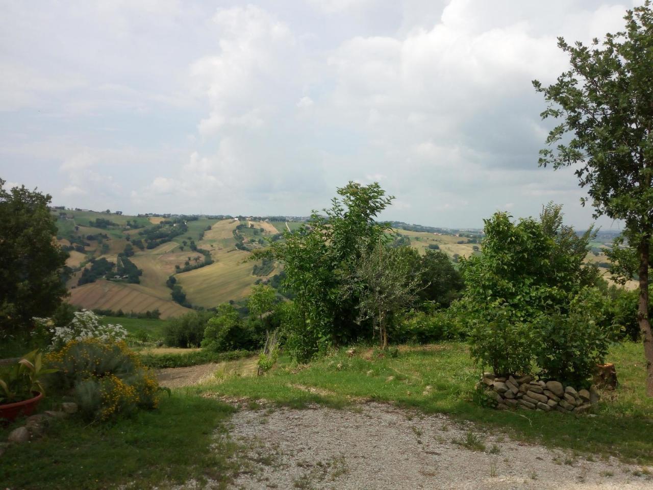 Casale San Martino Agriturismo Bio Sant'Angelo in Pontano Exteriér fotografie